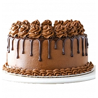BEST  CHOCOLATE CAKE -1.5kg